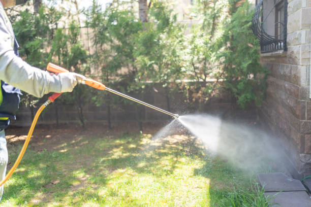 Seasonal Pest Control (e.g., summer mosquitoes, winter rodents) in Ossun, LA